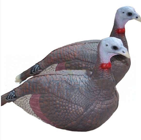 Turkey Archery Shooting Target Animal Simulation Model