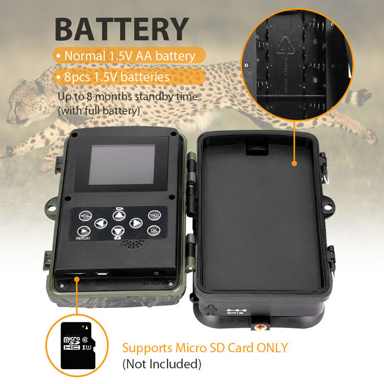 Hunting-Trail-Camera Photo-Trap