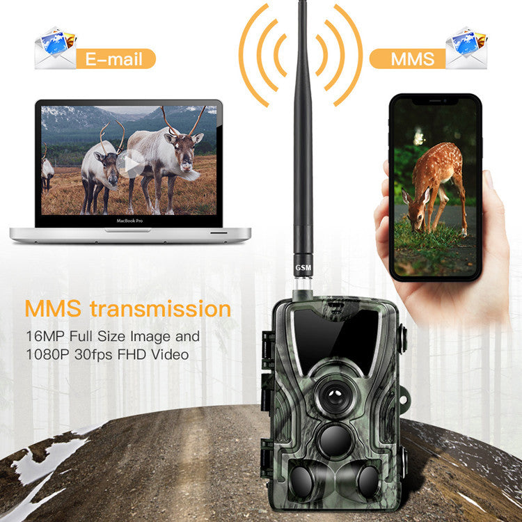 Hunting-Trail-Camera Photo-Trap