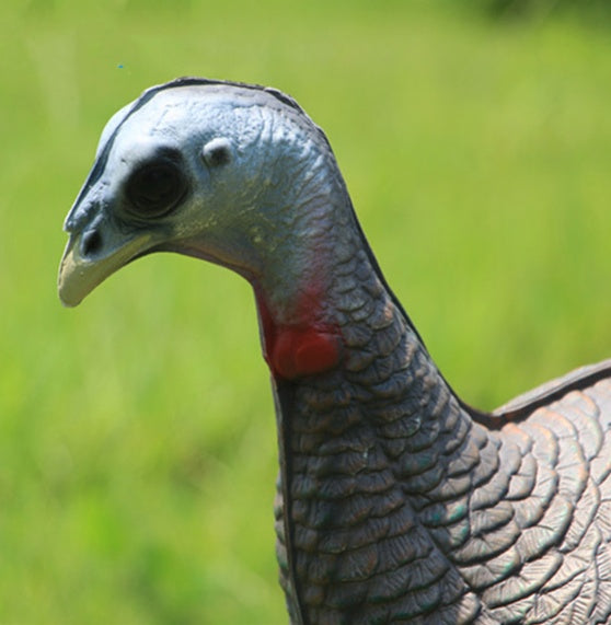 Turkey Archery Shooting Target Animal Simulation Model