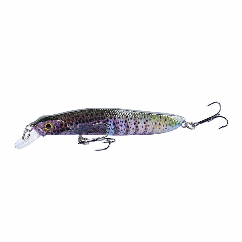Bionic bait hard bait