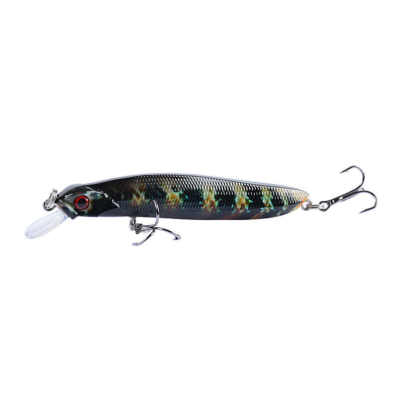 Bionic bait hard bait