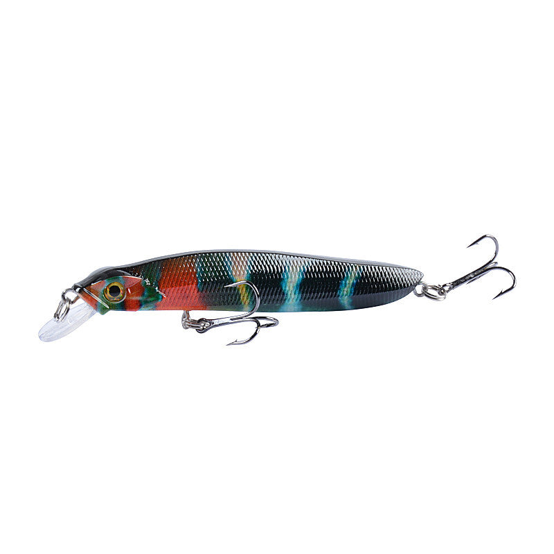 Bionic bait hard bait