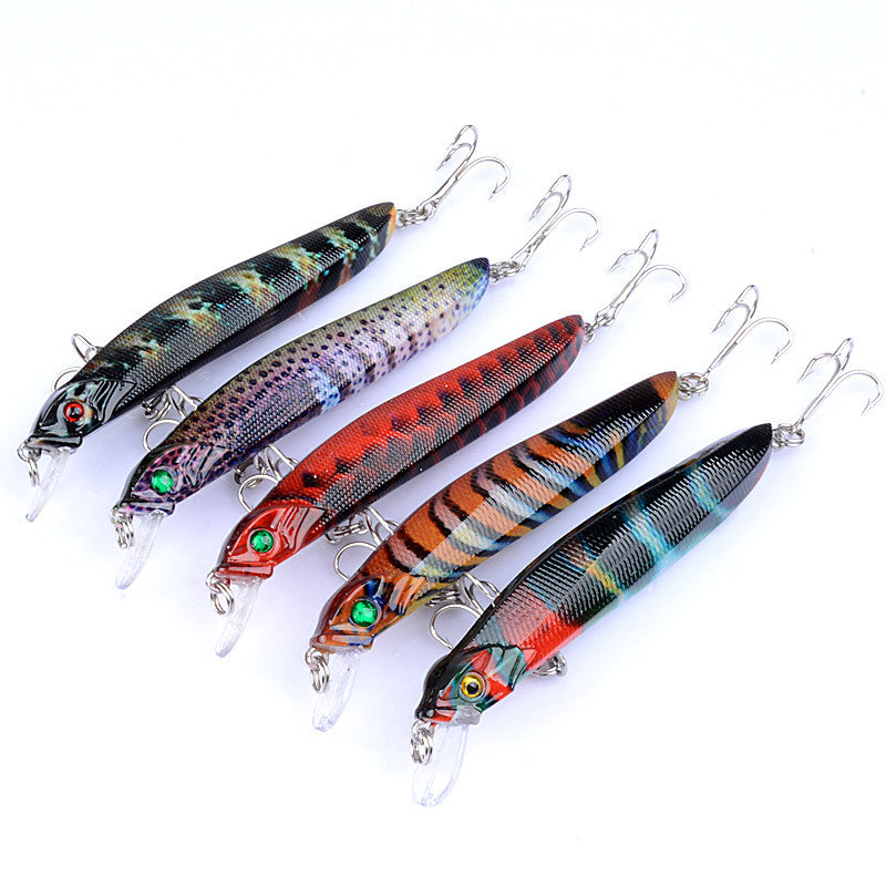 Bionic bait hard bait