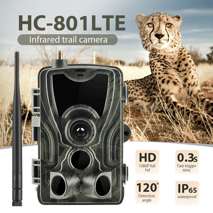 Hunting-Trail-Camera Photo-Trap