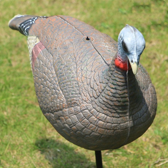 Turkey Archery Shooting Target Animal Simulation Model