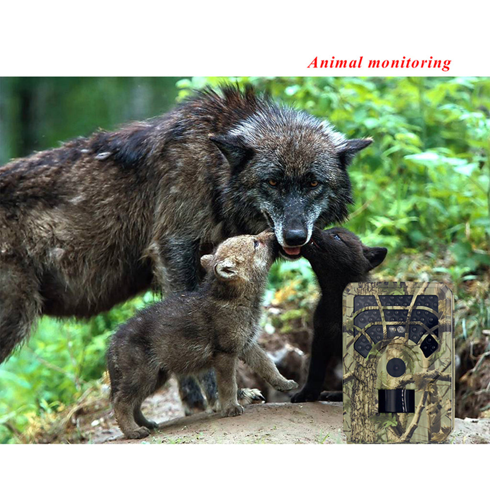 Hunting Camera Durable Useful High
