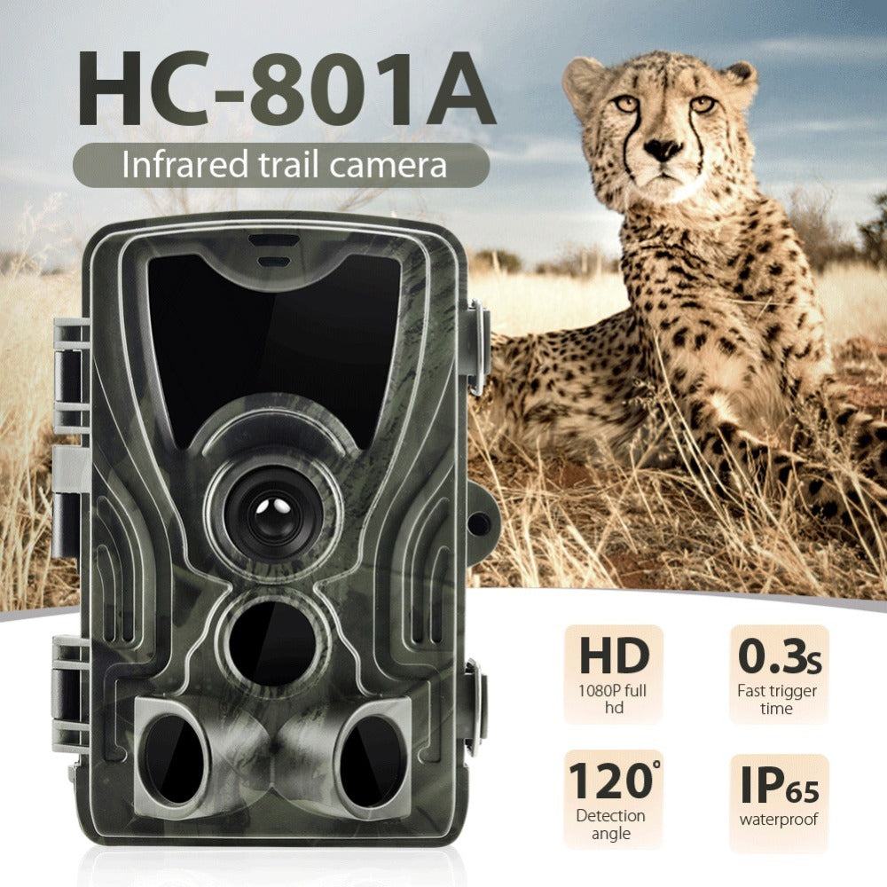 Hunting-Trail-Camera Photo-Trap